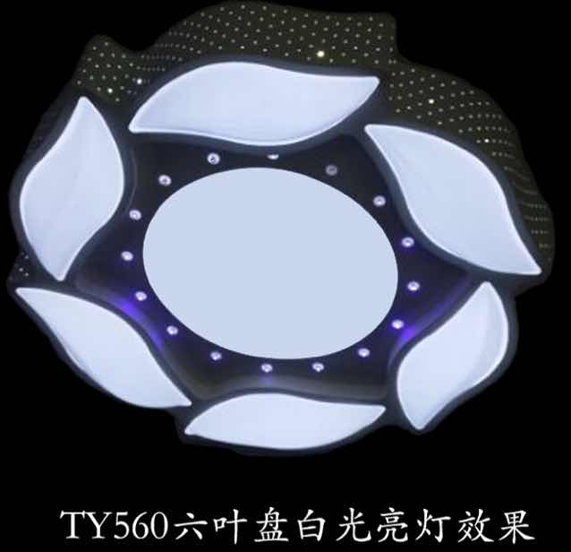 湖南邵阳个体经营宁平东