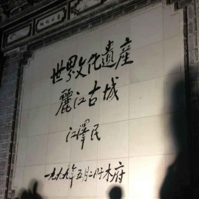 鑫鑫001