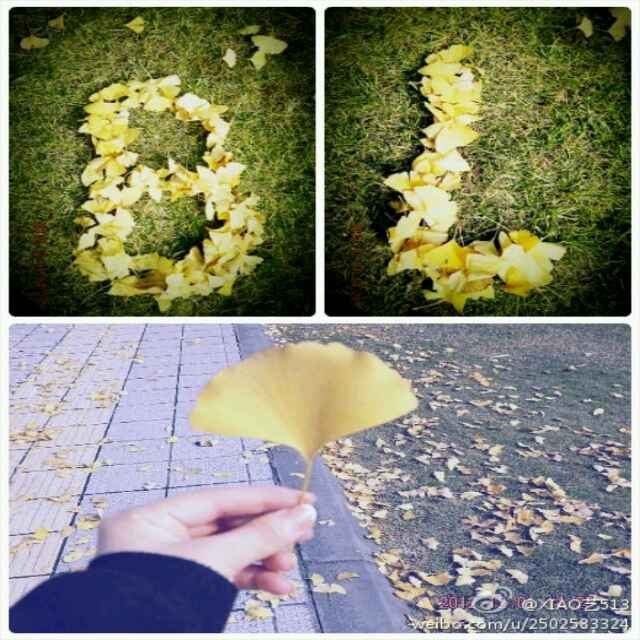 阿宝luo