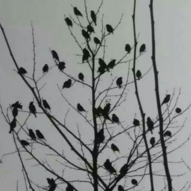 王德华2017