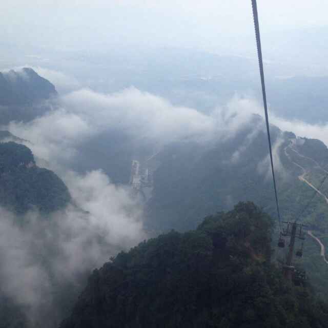 懂比爱难