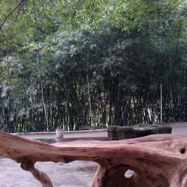 sxz123456789