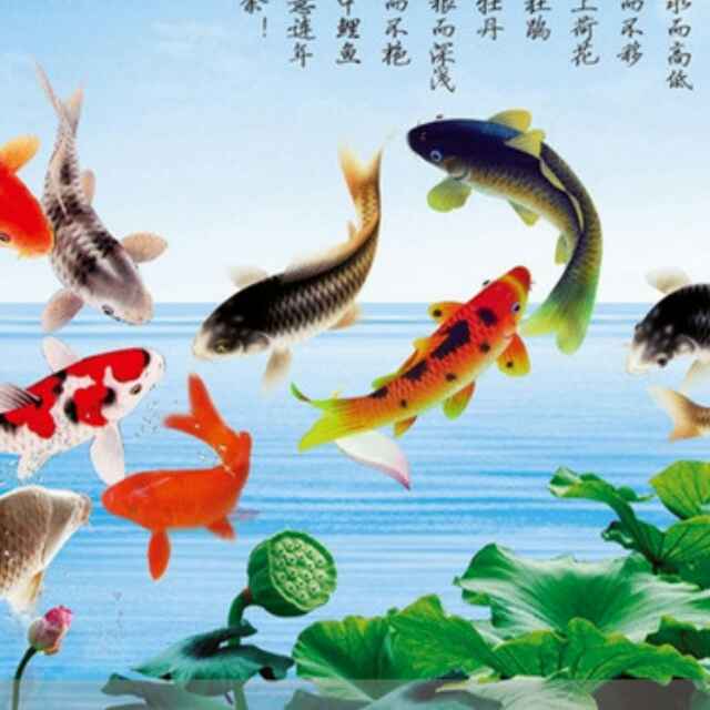 山东，济南，木条