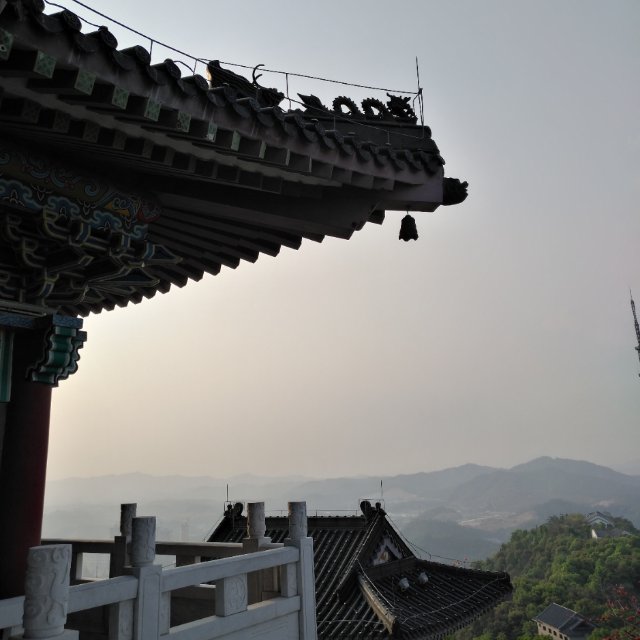 晟源阮启皇