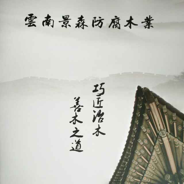 傅安丨雲南景森木业