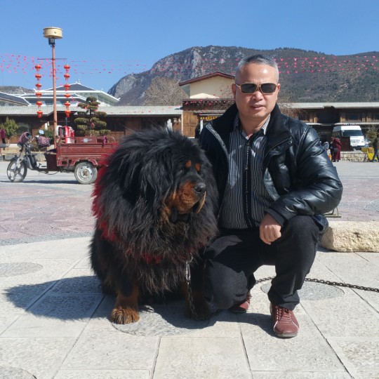 宜美木业庆