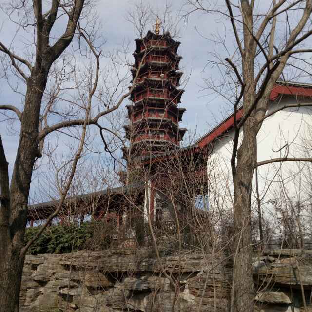 无言朱先生