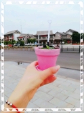 杨树森林