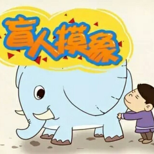 盲人摸象