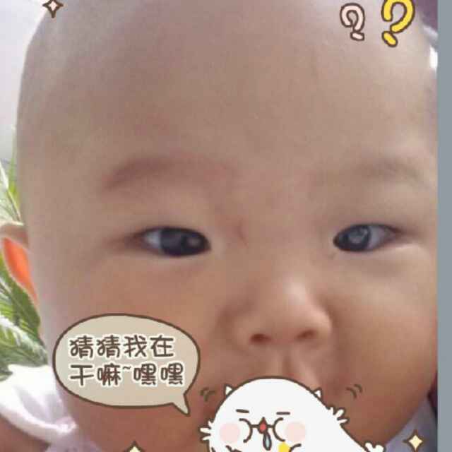 AA鲁台木龙骨批发18939482456