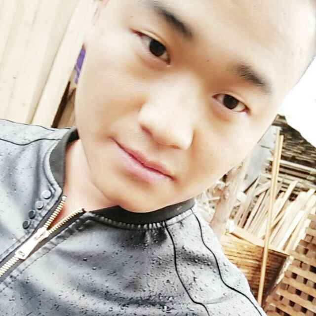 兴义贞丰木材销售