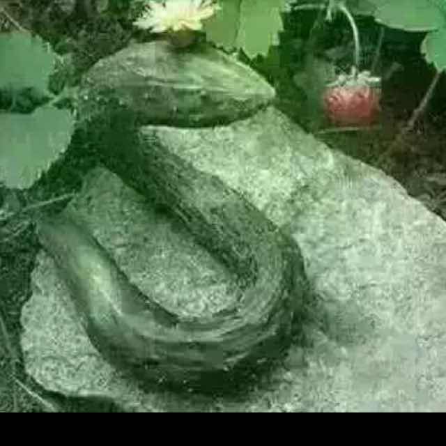 自然而移然