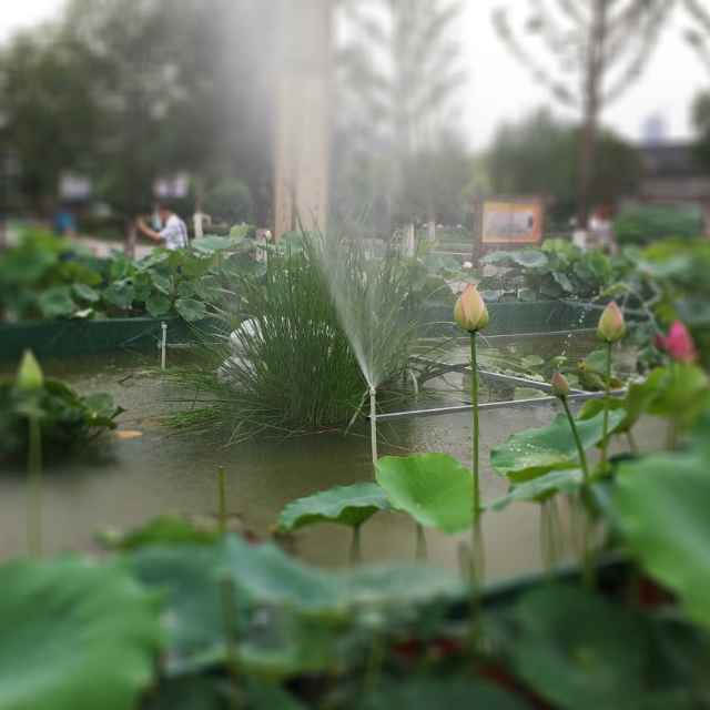 手机不在线