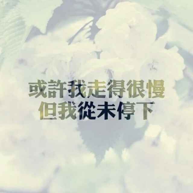 刘文豪50