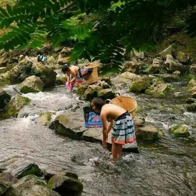 广西李友