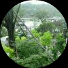 江山个体经验集成材唐鑫