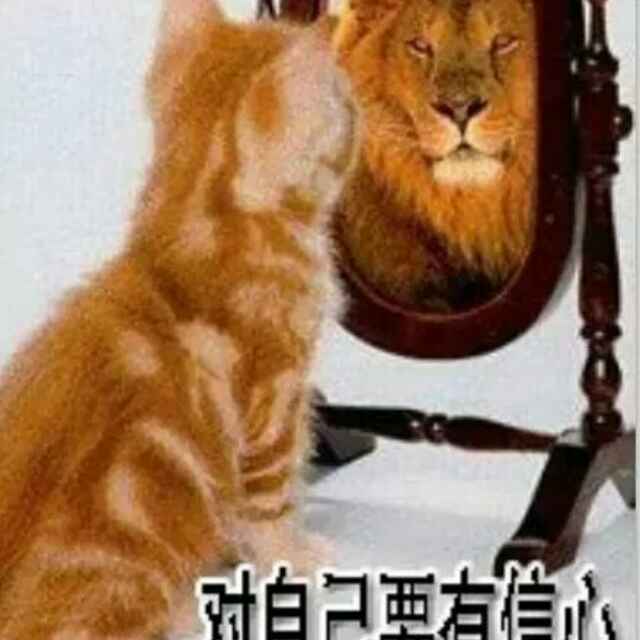夜幕下的艳舞