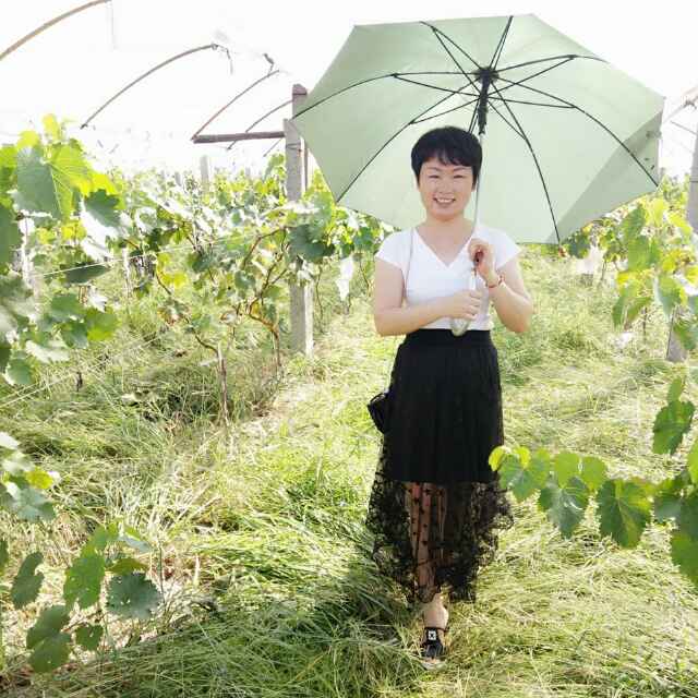聆风听雨