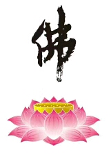 待蝶飞恋