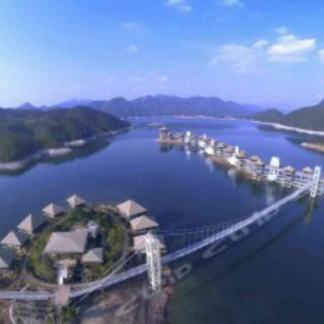 老马298
