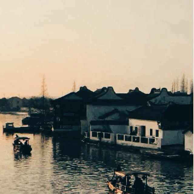 yangmr
