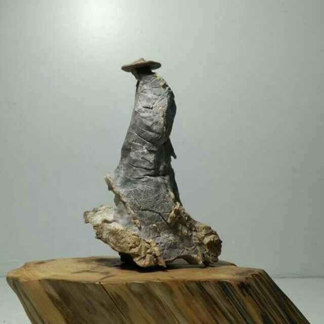 一杯沧海