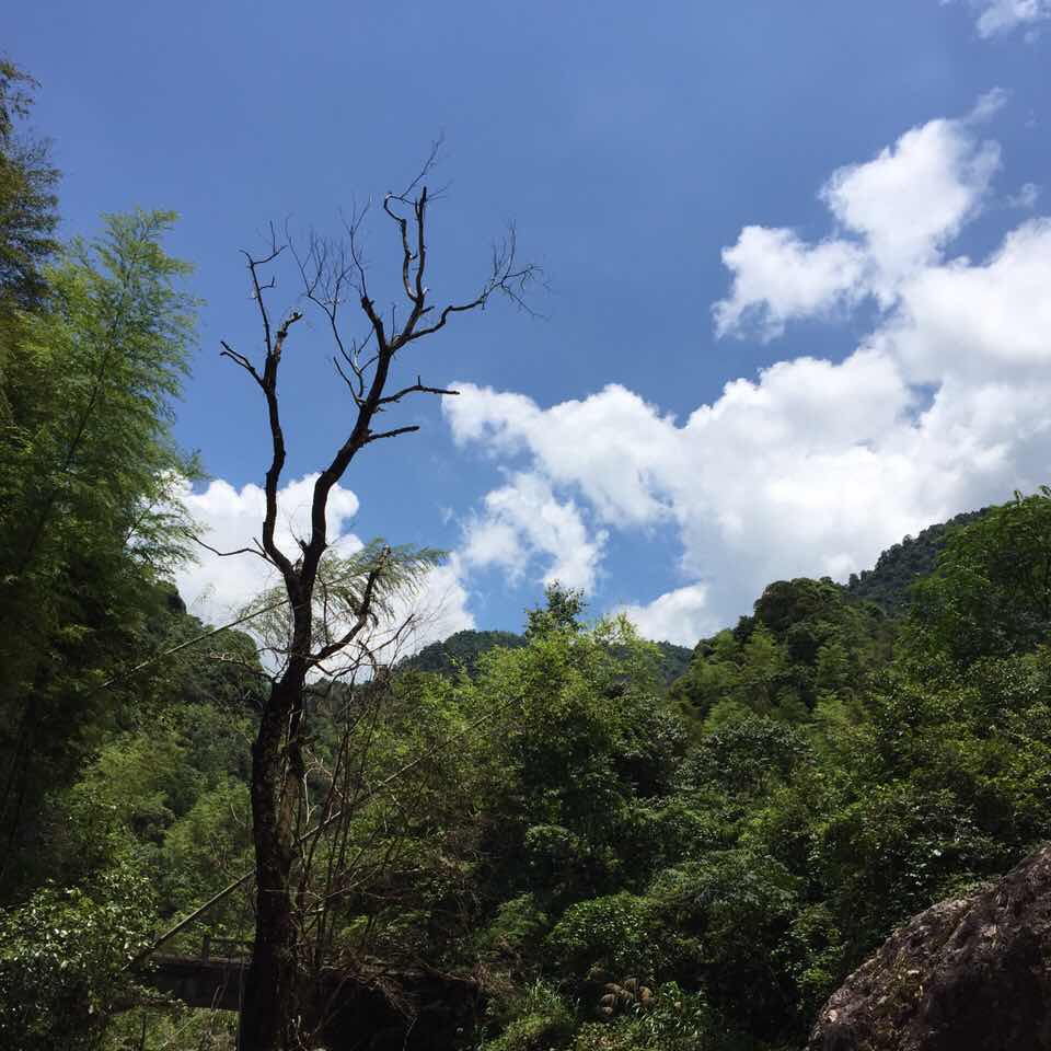 炯炯有神