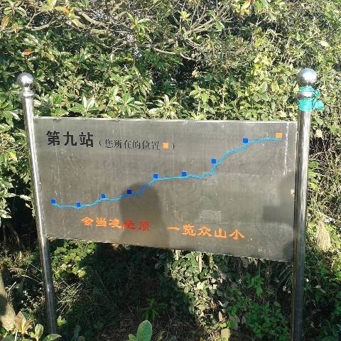 QQ12939193