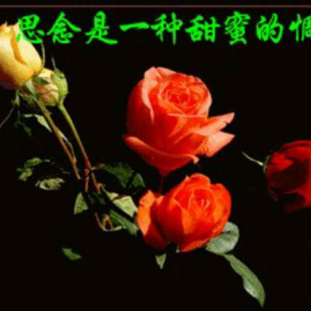 俊杰家长