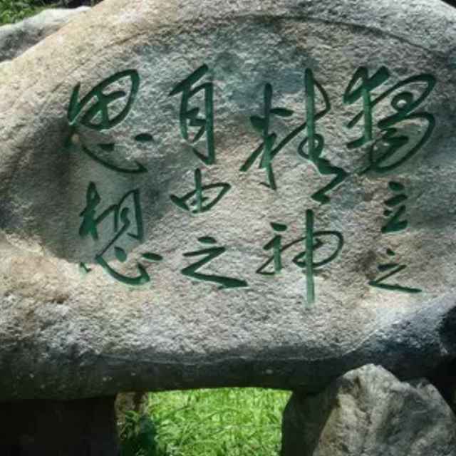 爱自由（）