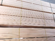 俄罗斯进口木材板材口料大方