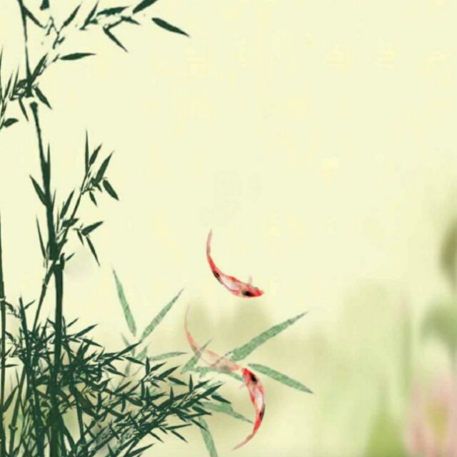 木林森@楊