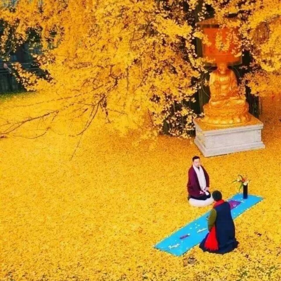 史蒂芬.范