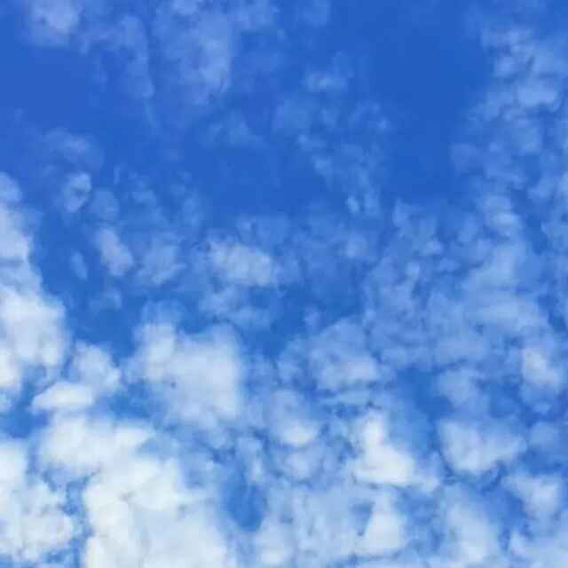 放飞梦想@