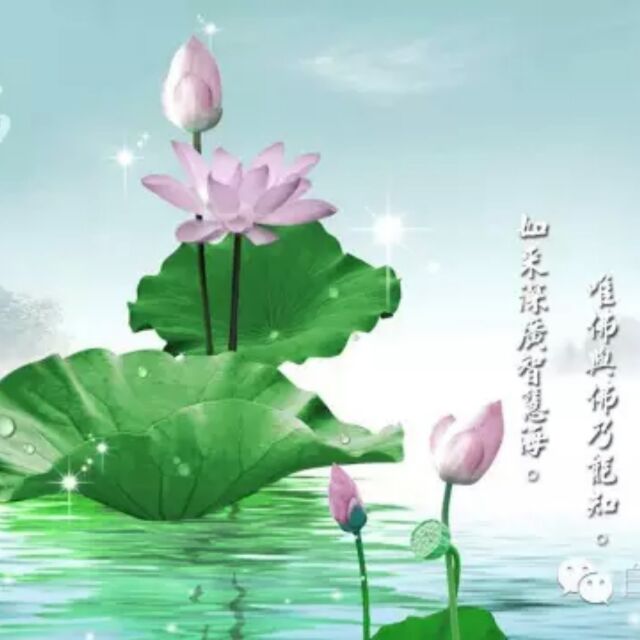 陈建国jason