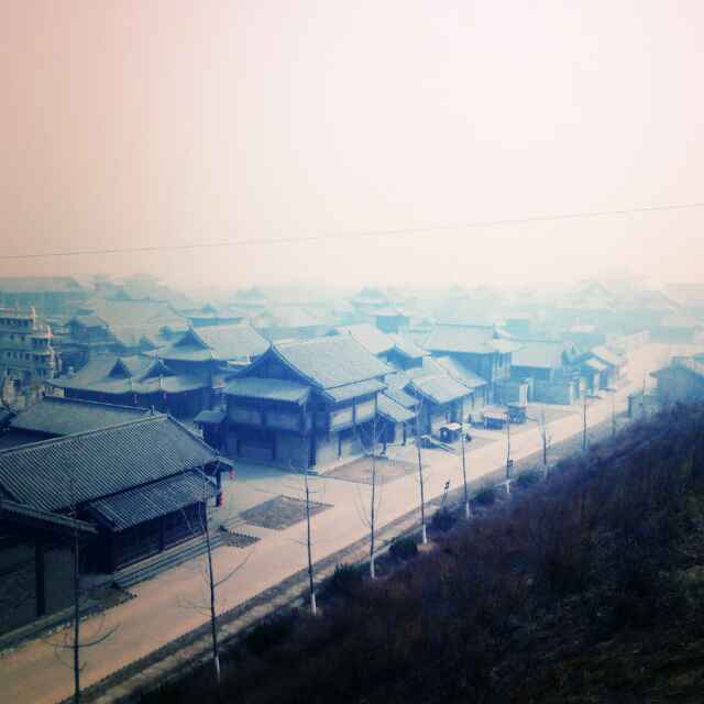 荒漠胡杨
