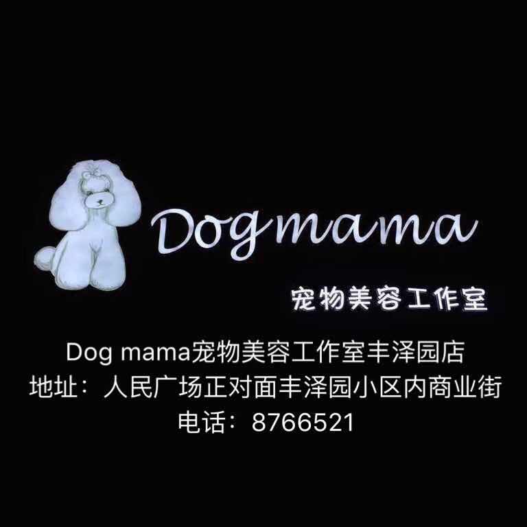 纵横捭阖