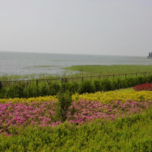 liuxiangboy