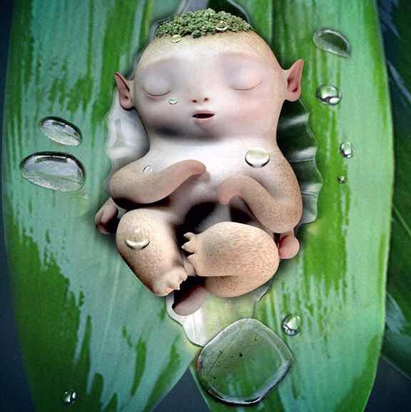 一妖