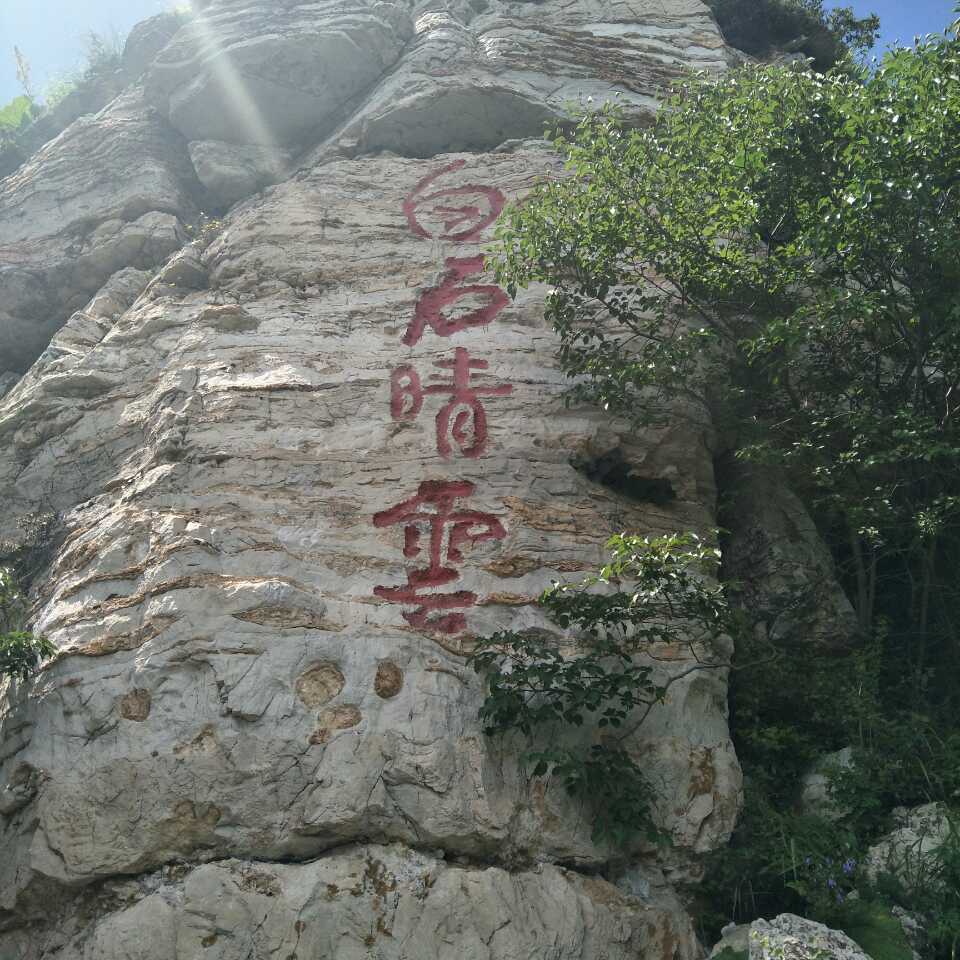 梁鹏880515