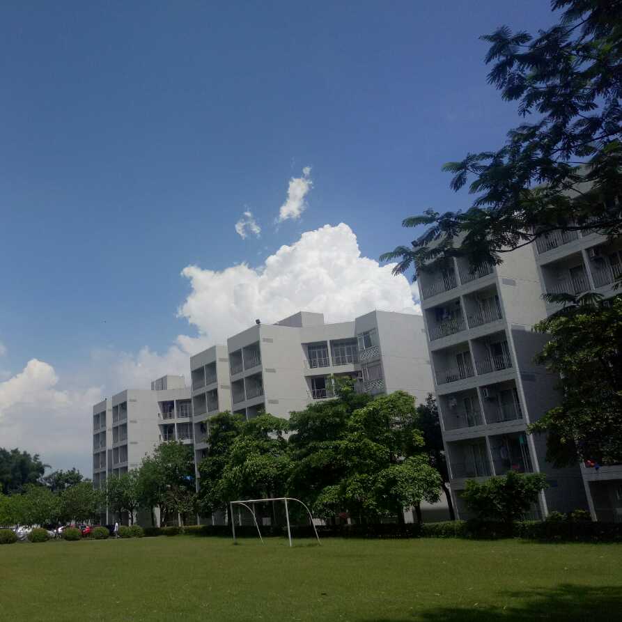 90后的奋起