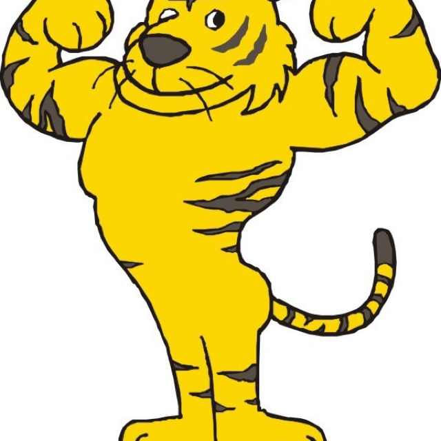 tiger沙