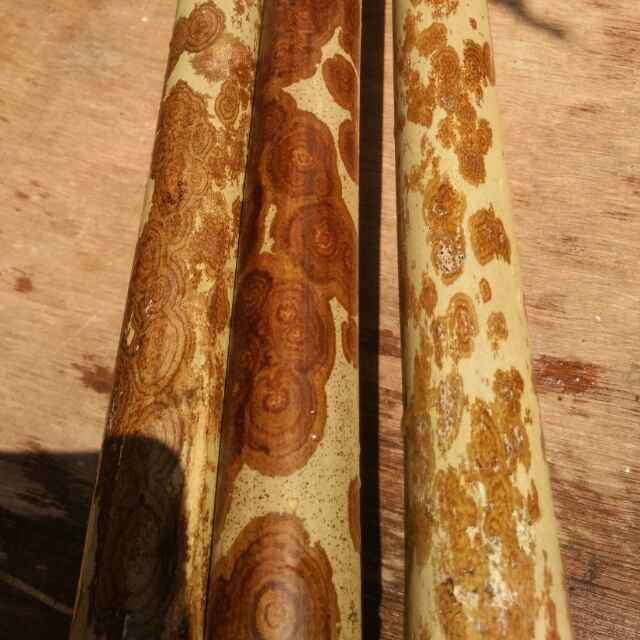 缘随天定，事在人为