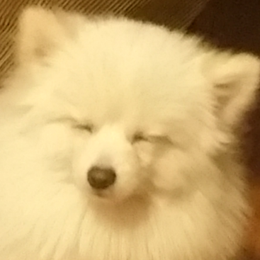 假如明日天放晴