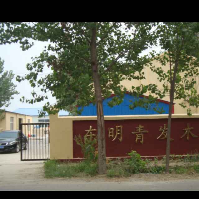 A东明青发木业有限公司