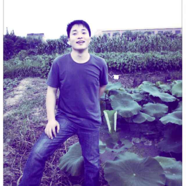 绿色补丁