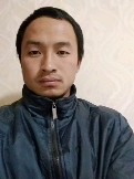 杨木刺槐