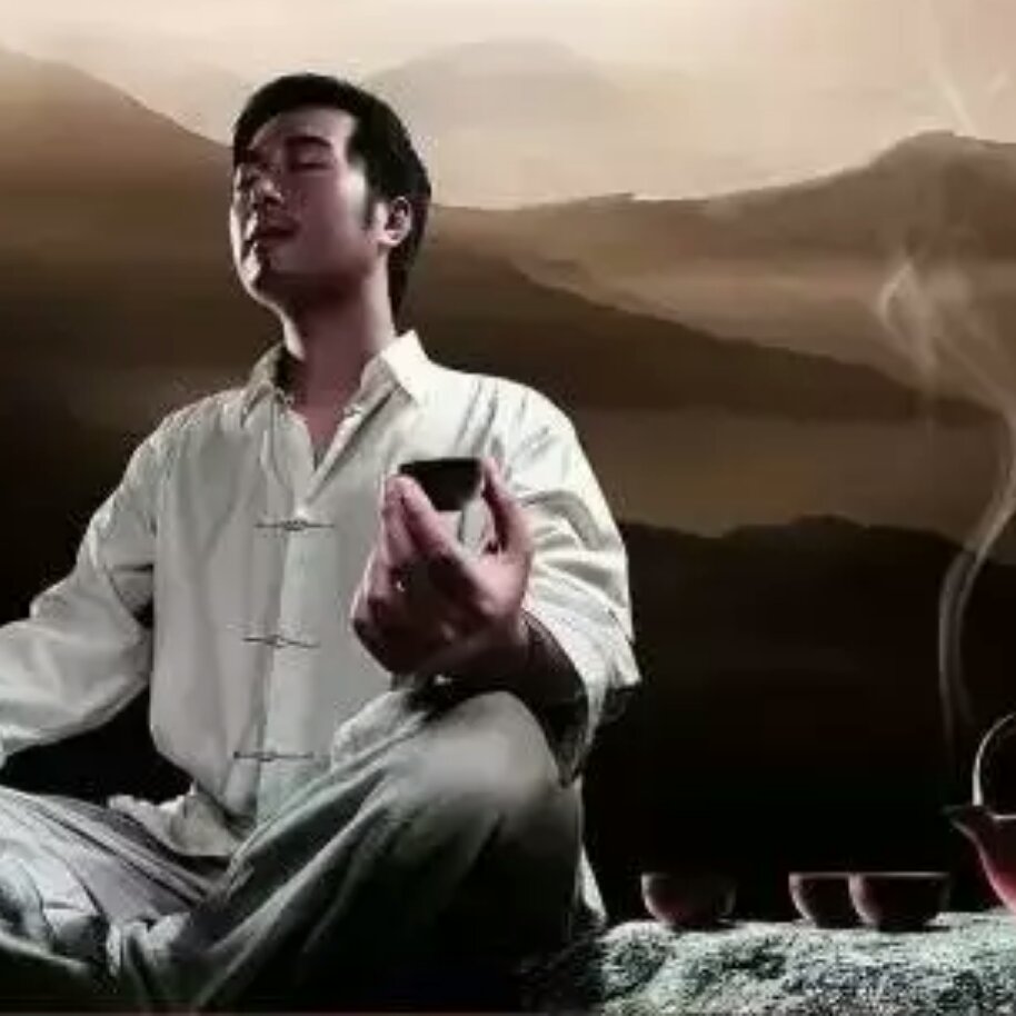 北极熊七点
