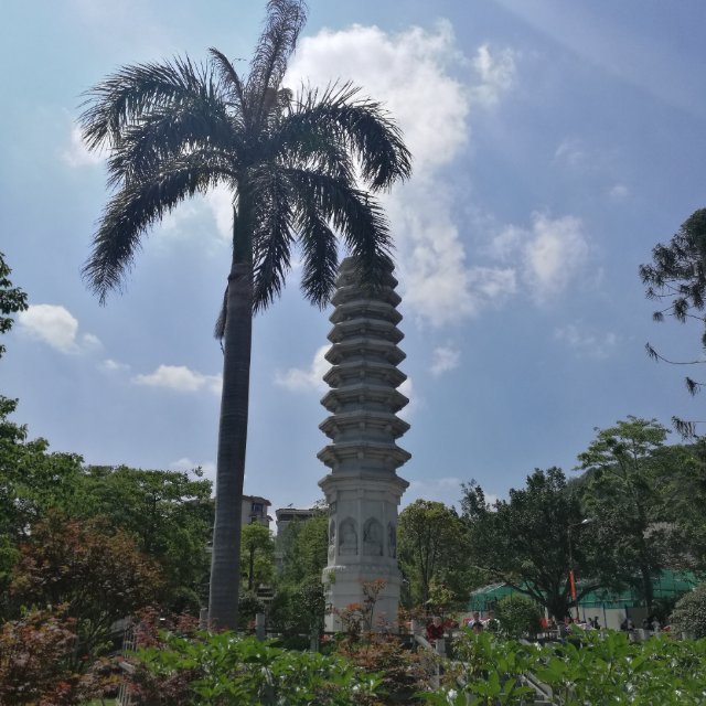 回忆(厦门美美瑞)