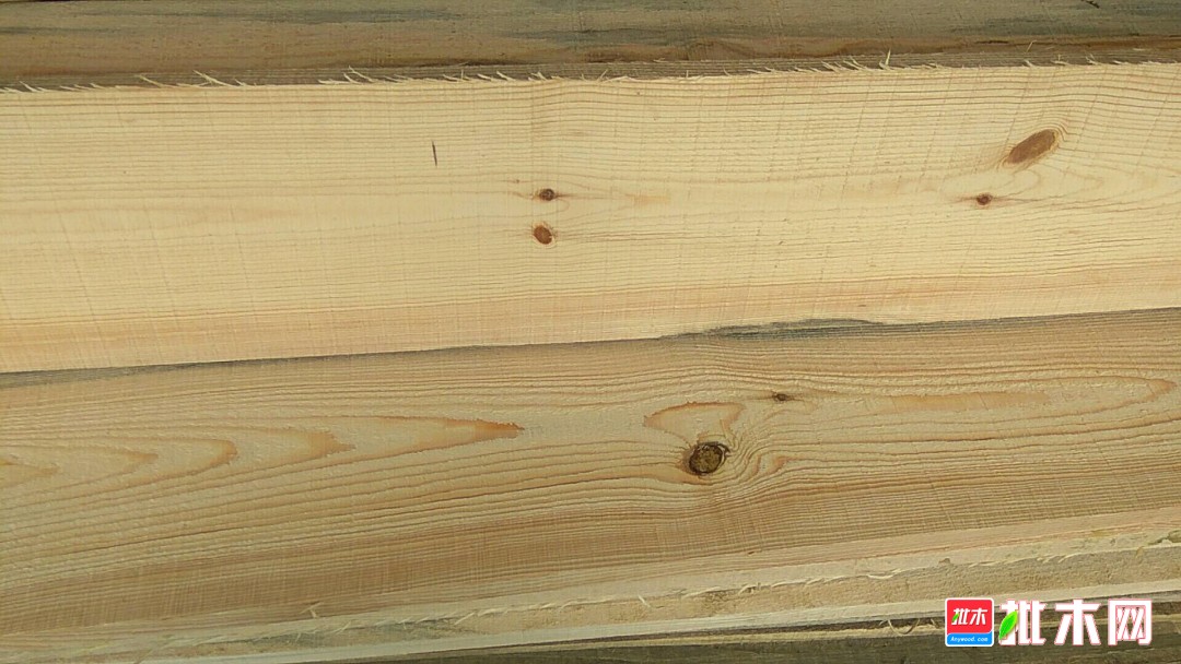 油松板方材 - 批木网